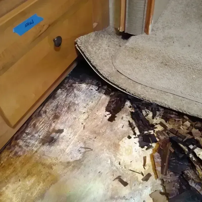 Best Wood Floor Water Damage Service in Sun Valley, NV